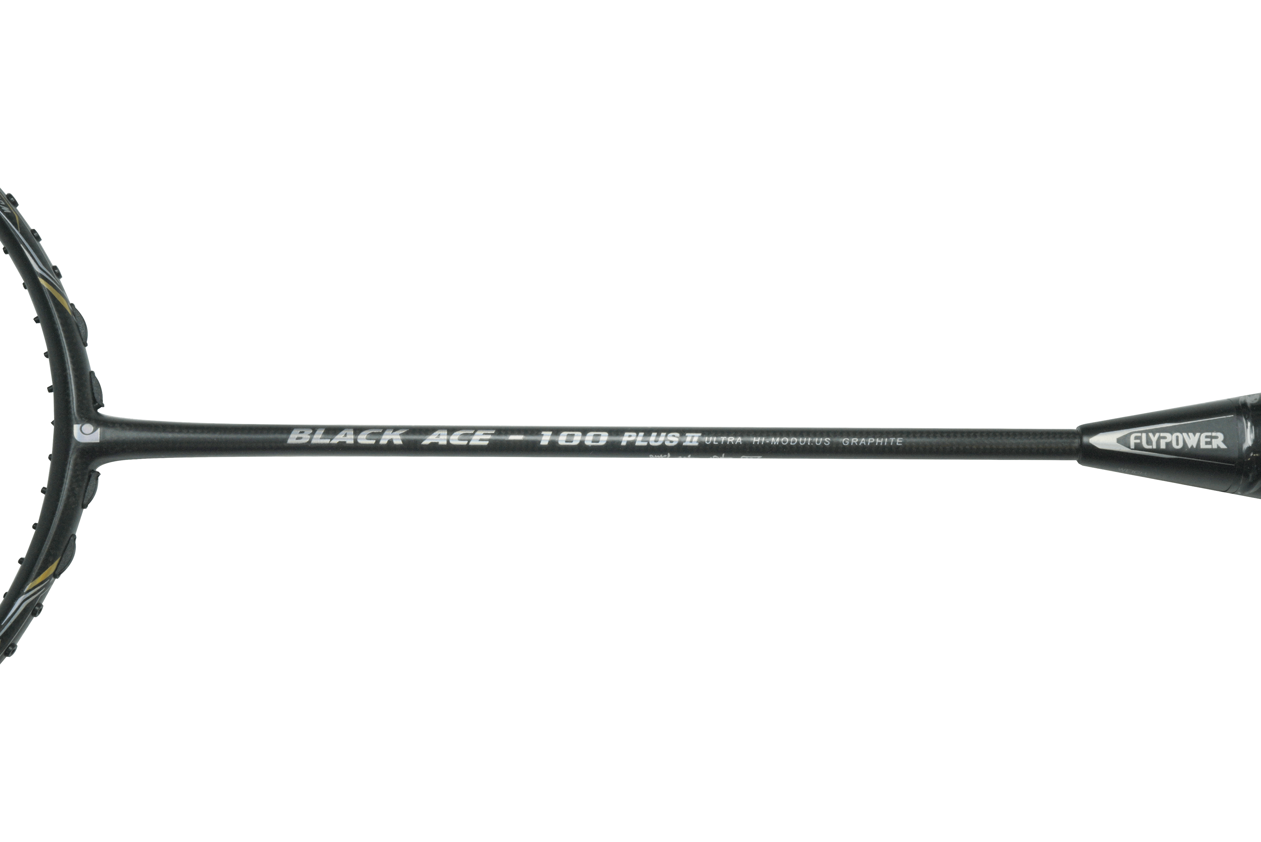 BLACK ACE-100 PLUS II